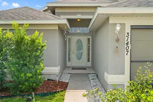 31407 Satinleaf Run, Brooksville, FL 34602 - Photo 5