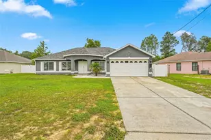 5341 Birchwood Rd, Spring Hill, FL 34608 - Photo 1
