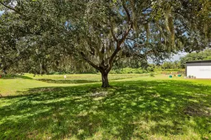5903 Cape Loop, Land O Lakes, FL 34639 - Photo 51