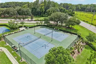 5903 Cape Loop, Land O Lakes, FL 34639 - Photo 47