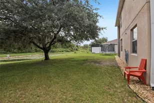 5903 Cape Loop, Land O Lakes, FL 34639 - Photo 35
