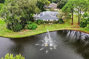 2950 St Andrews Blvd, Tarpon Springs, FL 34688 - Photo 3