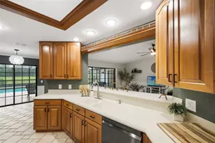 7231 River Country Dr, Weeki Wachee, FL 34607 - Photo 21