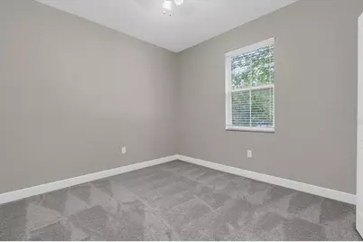 3343 Heart Pine Avenue, Odessa, FL 33556 - Photo 25
