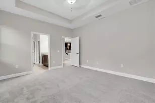 3343 Heart Pine Ave, Odessa, FL 33556 - Photo 19