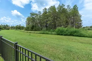 3142 Francoa Dr, Odessa, FL 33556 - Photo 43