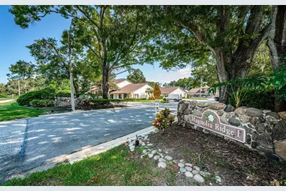 3610 Magnolia Ridge Circle #1304, Palm Harbor, FL 34684 - Photo 59