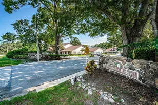 3610 Magnolia Ridge Cir, Palm Harbor, FL 34684 - Photo 59