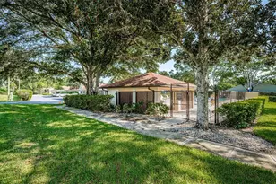 3610 Magnolia Ridge Cir, Palm Harbor, FL 34684 - Photo 49