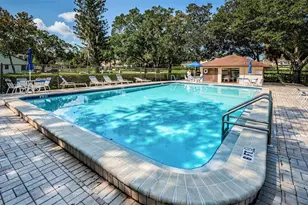 3610 Magnolia Ridge Cir, Palm Harbor, FL 34684 - Photo 53