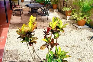 1135 Highland St N, Saint Petersburg, FL 33701 - Photo 13