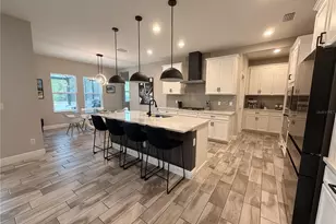 18071 Aero Ave, Land O Lakes, FL 34638 - Photo 5