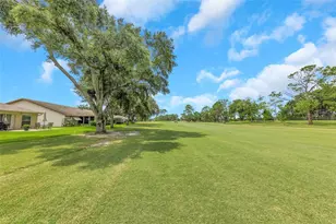1308 Gillespie Dr, Palm Harbor, FL 34684 - Photo 3