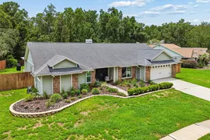 3607 Lithia Ridge Blvd, Valrico, FL 33596 - Photo 3
