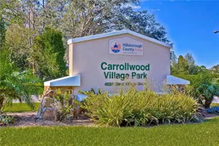 5301 Bradbury Ct, Tampa, FL 33624 - Photo 47