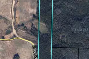 [Address not provided], Ponce de Leon, FL 32455 - Photo 1