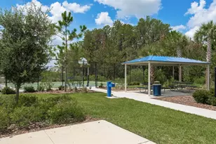 16119 Glowing Grove Ave, Odessa, FL 33556 - Photo 45