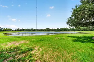 5954 Caldera Ridge Dr, Lithia, FL 33547 - Photo 95