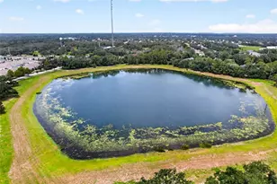 5954 Caldera Ridge Dr, Lithia, FL 33547 - Photo 99