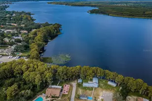 3410 Rugby Ct, Palm Harbor, FL 34684 - Photo 49