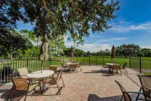 3410 Rugby Ct, Palm Harbor, FL 34684 - Photo 55