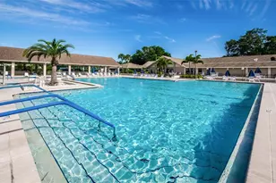 3410 Rugby Ct, Palm Harbor, FL 34684 - Photo 45