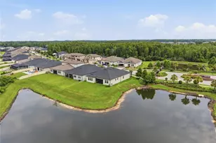 21676 Snowy Orchid Terrace, Land O Lakes, FL 34637 - Photo 43