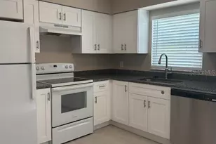113 S Fremont Ave, Tampa, FL 33606 - Photo 3