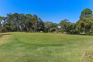 5141 Championship Cup Ln, Spring Hill, FL 34609 - Photo 69