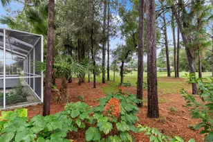 5141 Championship Cup Ln, Spring Hill, FL 34609 - Photo 57