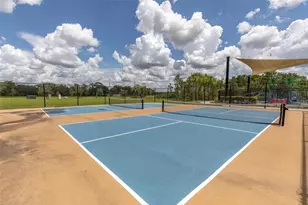 17070 Oval Rum Dr, Wimauma, FL 33598 - Photo 37