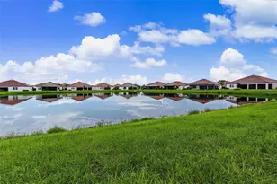 17109 Star Banks St, Wimauma, FL 33598 - Photo 37