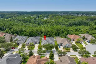 2923 Devonoak Blvd, Land O Lakes, FL 34638 - Photo 55