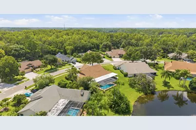6513 Thoroughbred Loop, Odessa, FL 33556 - Photo 69