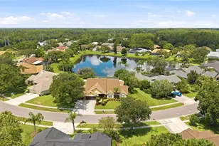 6513 Thoroughbred Loop, Odessa, FL 33556 - Photo 67