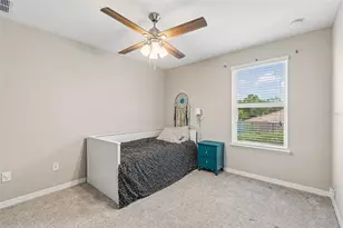 23958 Terracina Ct, Land O Lakes, FL 34639 - Photo 47