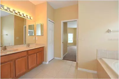3132 Sago Point Court, Land O Lakes, FL 34639 - Photo 5