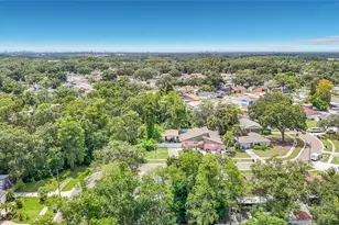 11007 Airview Dr, Tampa, FL 33625 - Photo 57