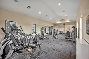 3534 Marigold Patch Ct, Plant City, FL 33565 - Photo 23