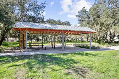13007 Batten Lane, Odessa, FL 33556 - Photo 47