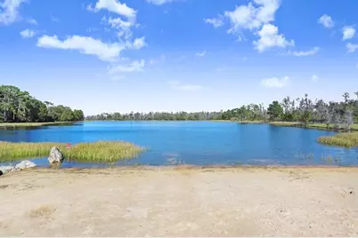 13007 Batten Lane, Odessa, FL 33556 - Photo 65