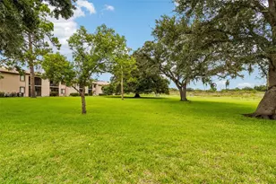129 Nancy Dr, Oldsmar, FL 34677 - Photo 41