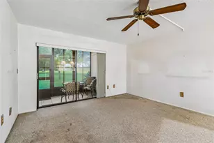 129 Nancy Dr, Oldsmar, FL 34677 - Photo 11