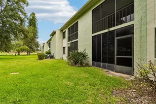 129 Nancy Dr, Oldsmar, FL 34677 - Photo 37