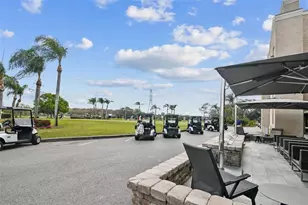 129 Nancy Dr, Oldsmar, FL 34677 - Photo 59
