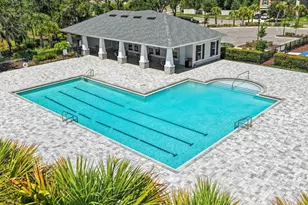 1461 Golden Glow Dr, Ruskin, FL 33570 - Photo 29