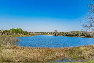 4517 Kennewick Pl, Riverview, FL 33578 - Photo 27