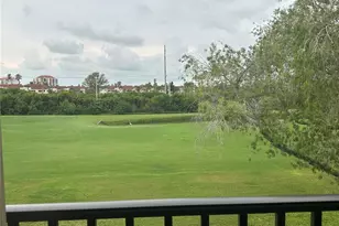 6335 Palma Del Mar Blvd S, Saint Petersburg, FL 33715 - Photo 13