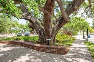 970 Virginia St, Dunedin, FL 34698 - Photo 27