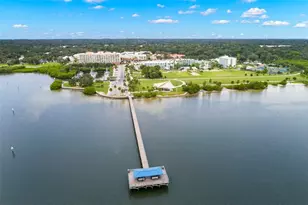 429 2nd St S, Safety Harbor, FL 34695 - Photo 59